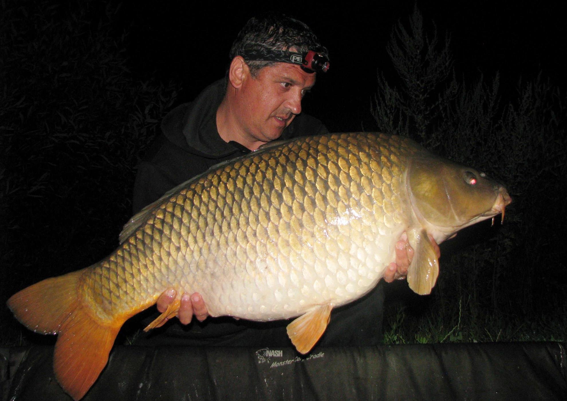 Harsany 21 - 27 iul. - img0208.JPG